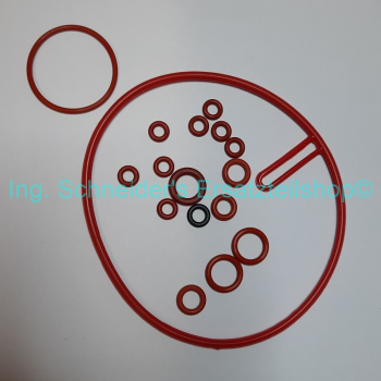 Reparaturkit Saeco Durchlauferhitzer