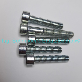 Saeco Incanto DLEH Schraubensatz (5er)