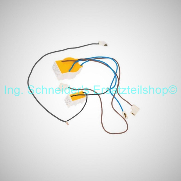 ENTSTÖRFILTER MIT RC-GLIED