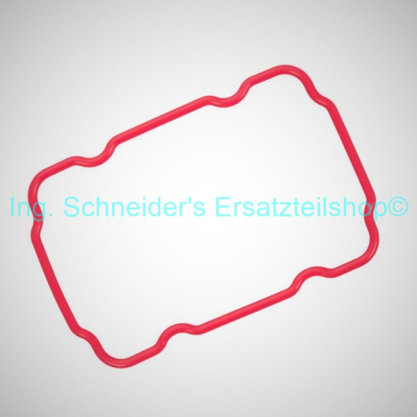 842500530 Boiler Vienna Dichtung