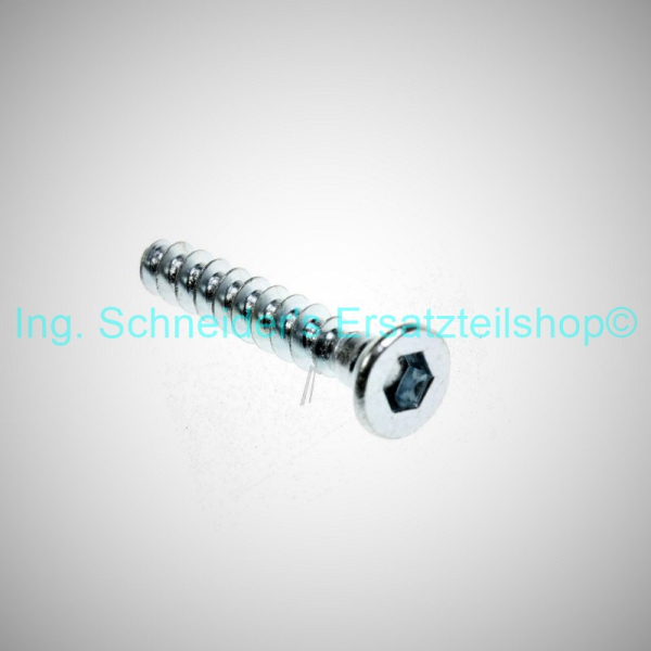 129932502 SCHRAUBE 5X30 TORX SELBSTSCHNEIDEND